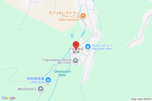 Fujino Yakuseido