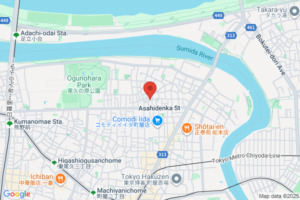 Nippon Selas Co., Ltd.