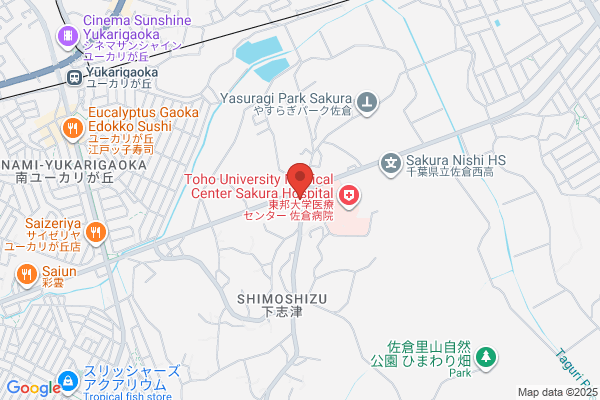 Sakura Pharmacy Shimo Shizu Shop