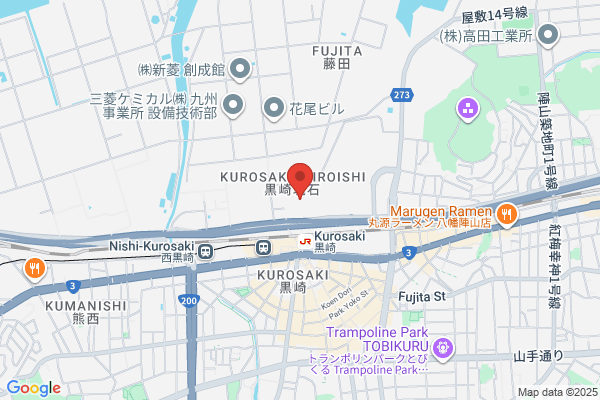 Kyushu Denki Seiki Co., Ltd.