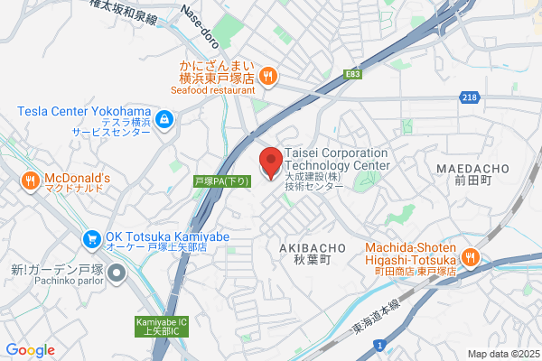 Taisei Denka Center