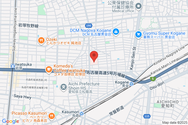 Josai Hospital