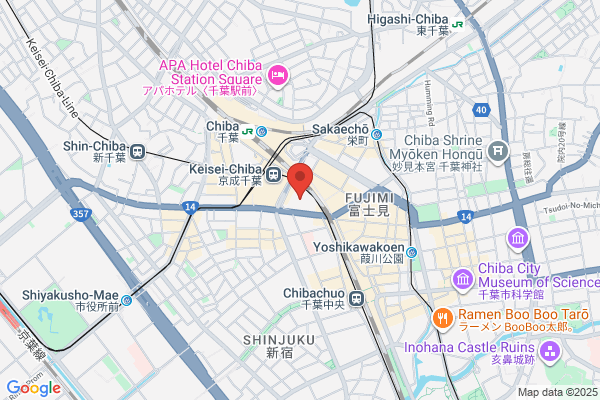 Chiba Denki Co., Ltd.