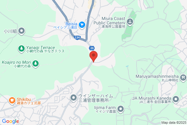 Shinko Motors Ltd.