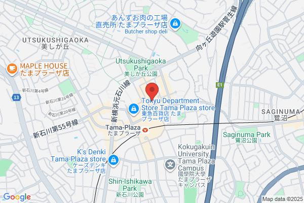 Aies Camera Tama Plaza Shop