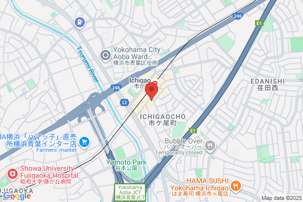 Seiyu, Ichigao Br.