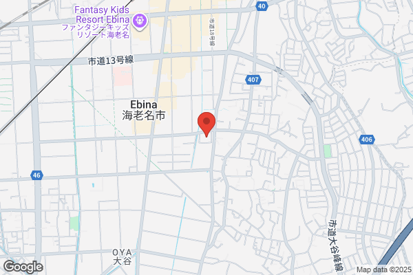 Joshin Ebina Shop