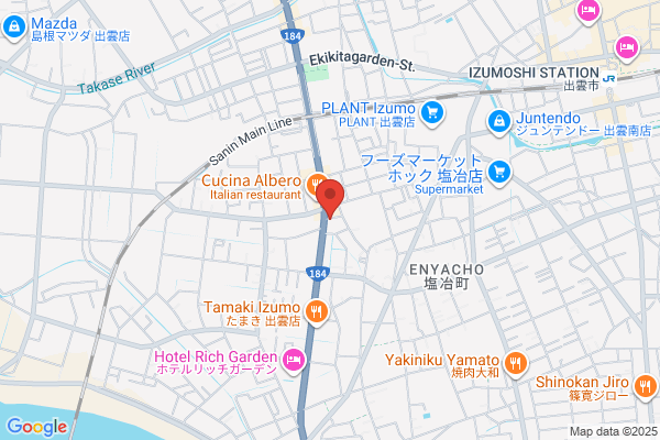 Lex Yoneyama Denki