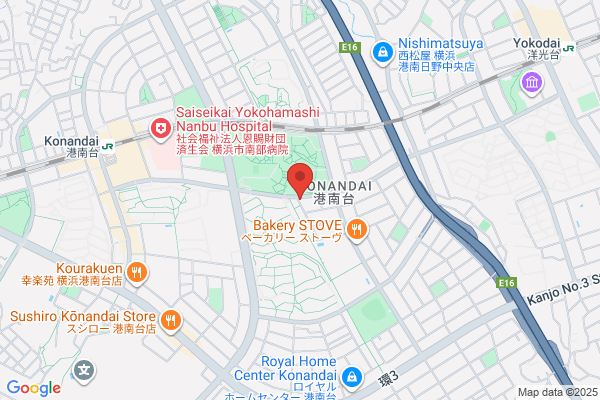 Nagasawa Denki