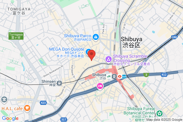 Shibuya Denki