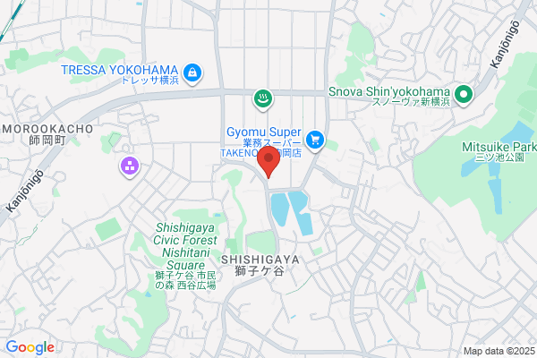 Kobayashi Denki Ltd.