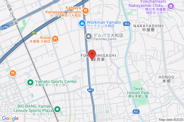 Molex Japan Co., Ltd.