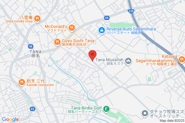 Shimizu Denki