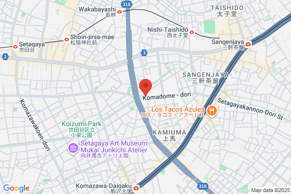Daimasu Butsuryu Co., Ltd.