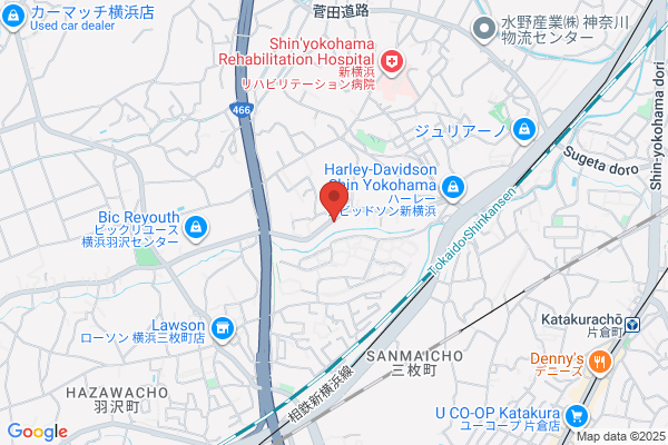 Umezawa Kigyo