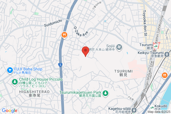 Hashizume Hospital