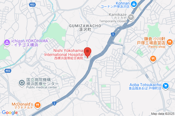 Nishi Yokohama International Hospital
