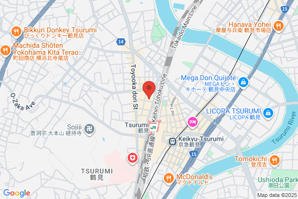 Toshiba Tsurumi Hospital