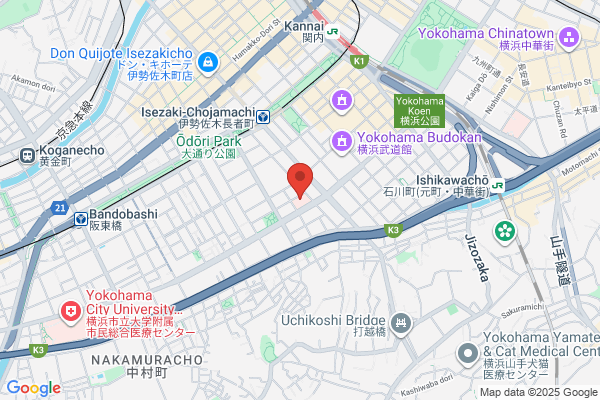 Yokohama Ekisaikai Hospital
