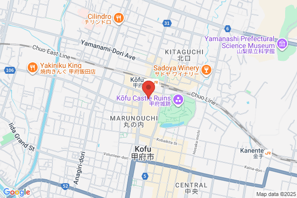Kofu Terminal Hotel