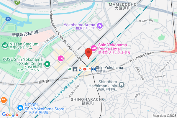 Shin Yokohama Grace Hotel