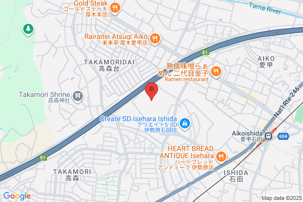 Kanagawa Forum, The