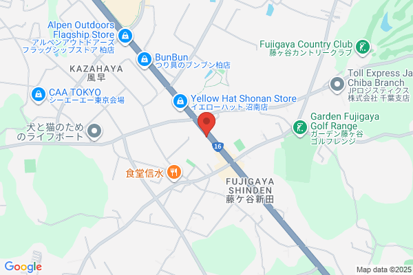 Sun Network Co., Ltd.