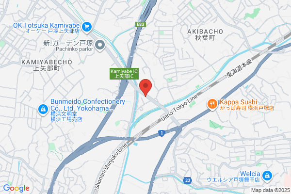 Custom Medical Laboratory Co., Ltd.