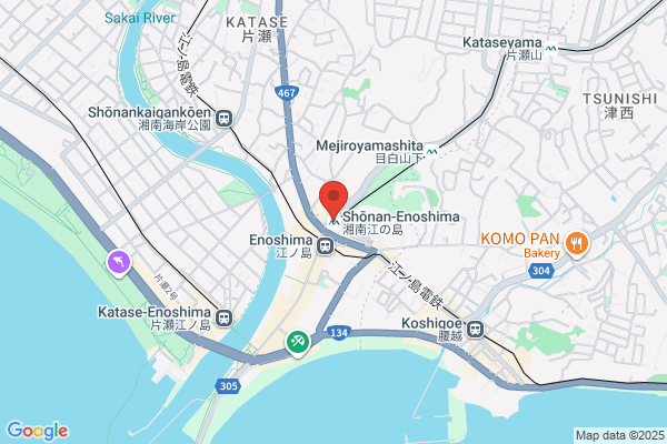 Shonan Iryo Kikai