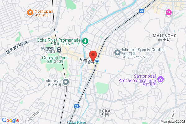 Daruma Pharmacy Gumyoji Shotengai