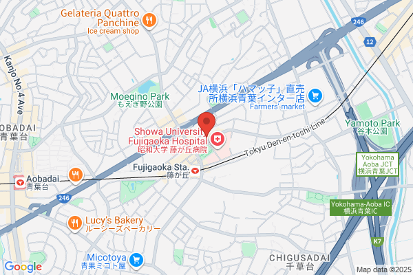 Fujigaoka Yakkyoku Minamiguchi Ekibiru-ten