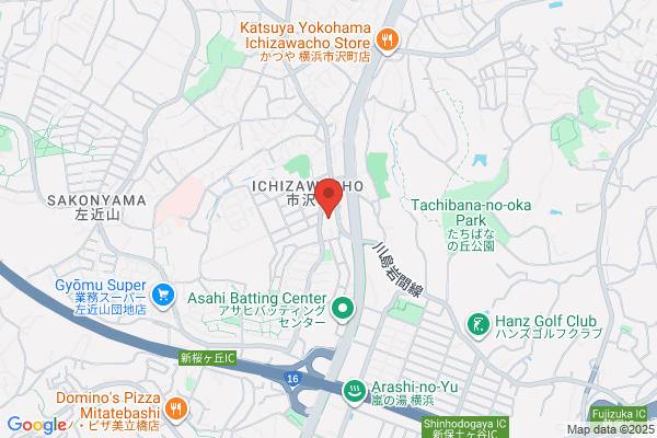 Hac Drug Ichizawa Shop