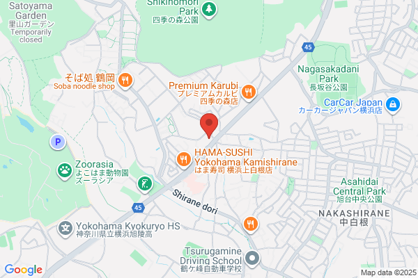 Hac Drug Kamishirane Shop