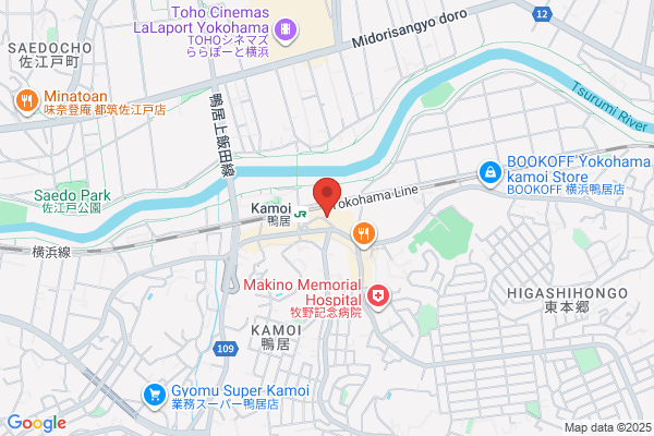 Hac Drug Kamoi Shop