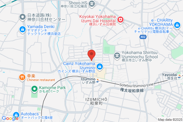 Izumino Drug