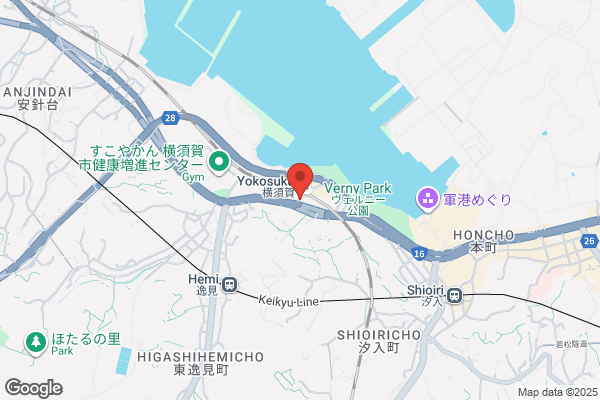 Daishin Seiko Co., Ltd.