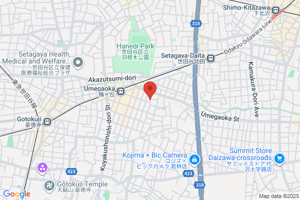 Music Shop Yakugawa
