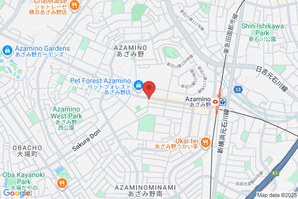 Biso Azamino Shop