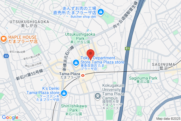 Berlitz Japan Inc. Tama Plaza Language Center