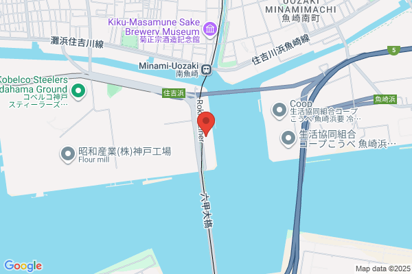 Kamigumi Co., Ltd., DSR-Senetor Lines Section