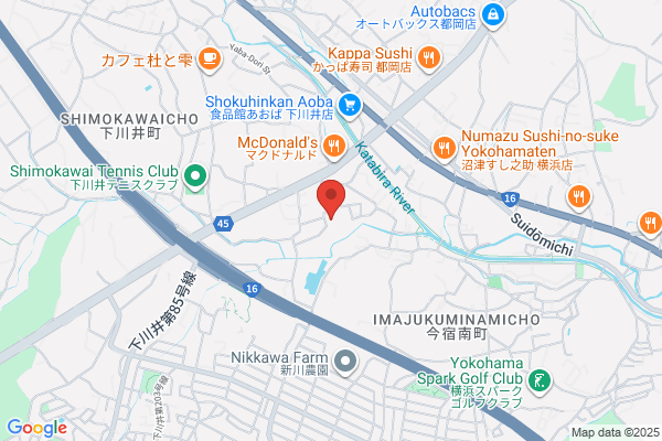Tsuoka Swimming Club