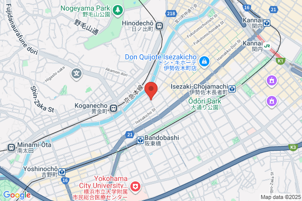 Yokohama Nichigeki