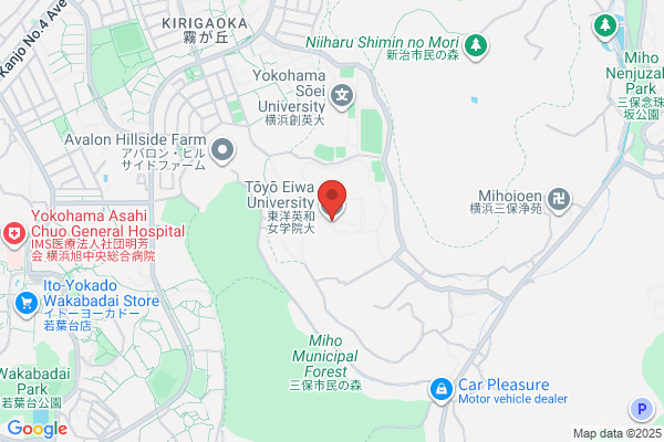 Toyo Eiwa University