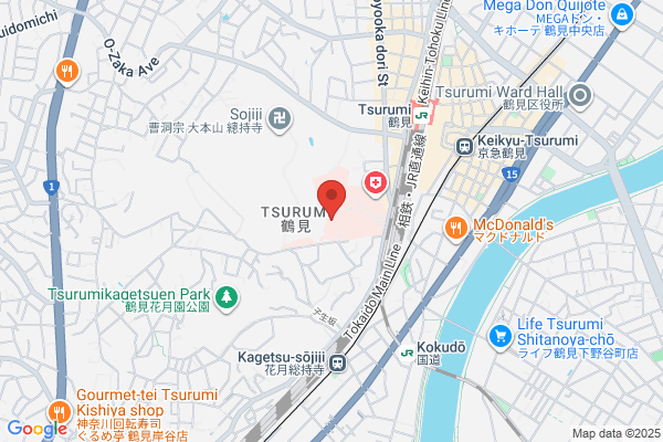 Tsurumi University