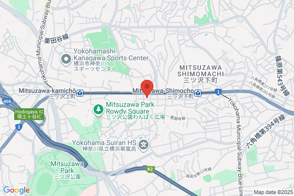 Ann Veterinary Clinic