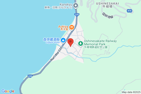 Hamada Denki