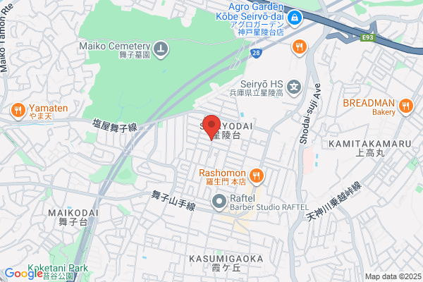 Hoshin Denki Service