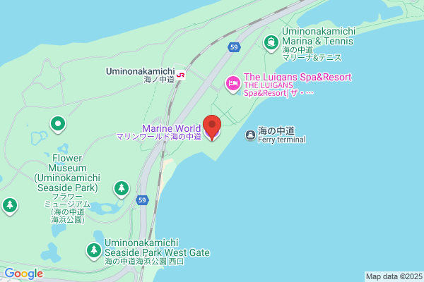 Higashi Fukuoka Shinyo Kumiai Kashi Br.