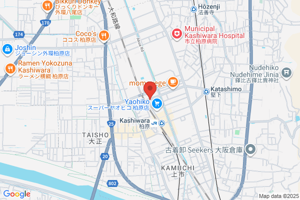 Mori Denki Shokai