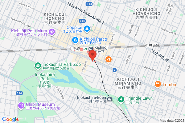 Tokyu Hotels, Kichijoji Tokyuinn